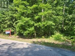 46 OAKWOOD AVENUE N Tiny, ON L9M 0J2