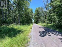 358 TOWNLINE ROAD Greater Napanee (Greater Napanee), ON K0H 1G0