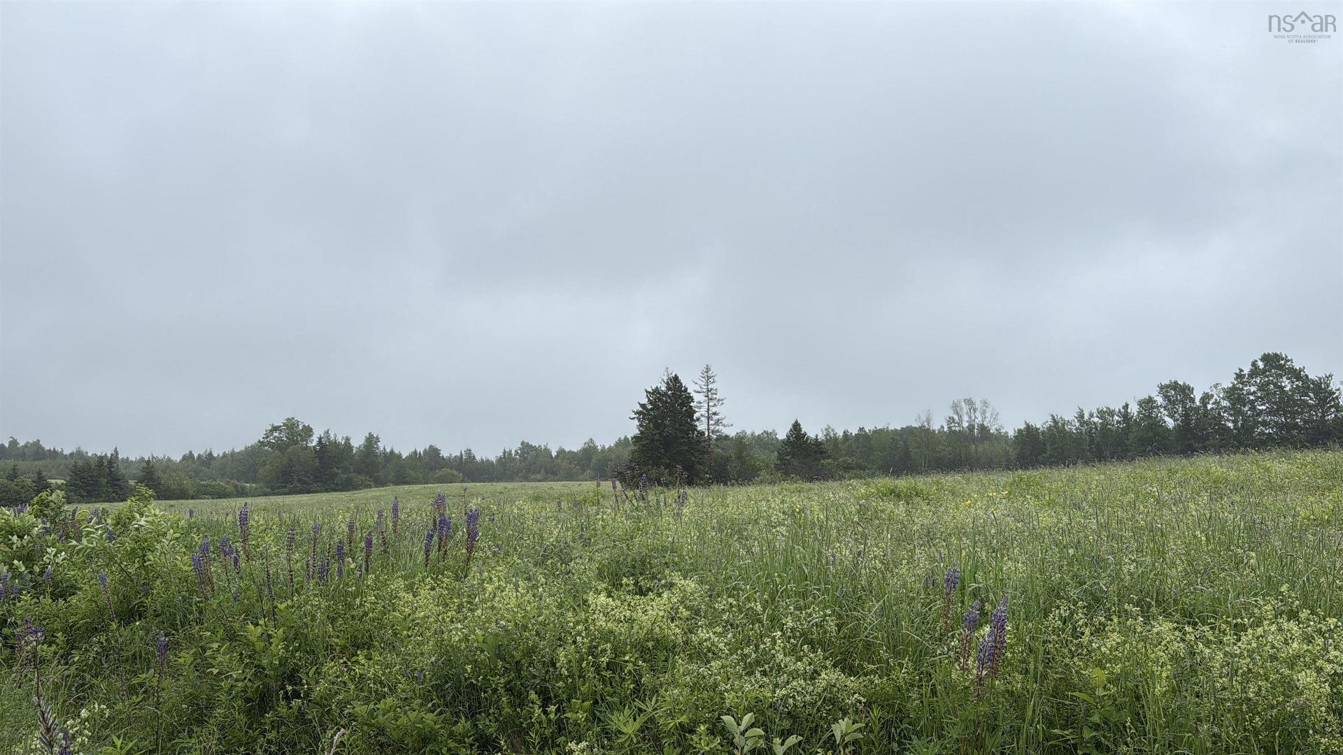 Wallie Mingo Road, Keeble, NS