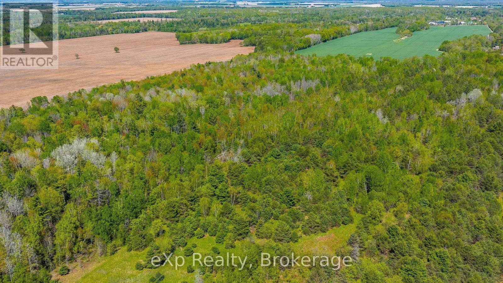 5716 County Road 9, Clearview, ON