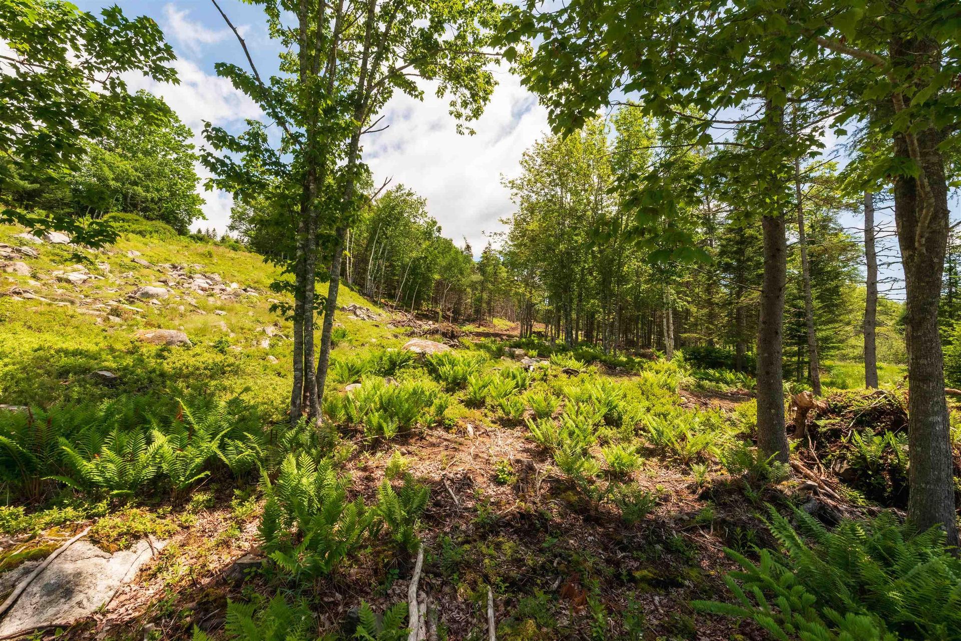 527 West Ship Harbour Road, Ship Harbour, NS