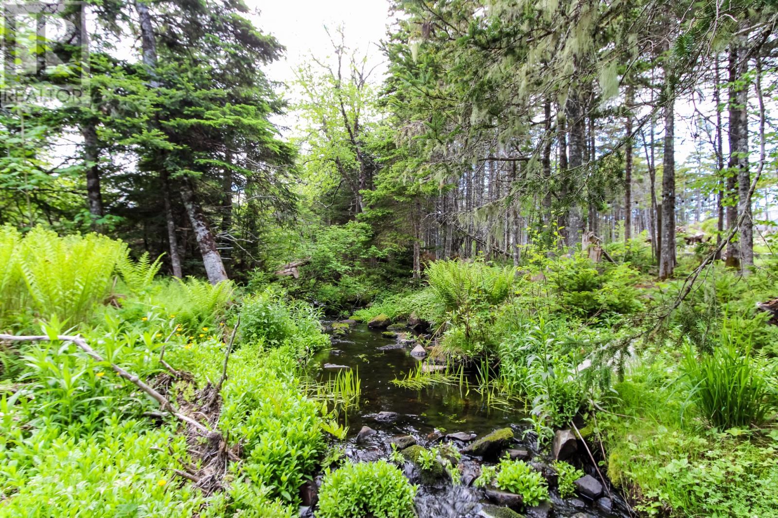 24 Forest River Road, Torbay, NL