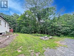 Private yard - 