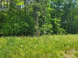 LOT 71 WHISPERING PINE CIRCLE Tiny, ON L9M 0C2