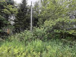Lot 14 Highway 2 Alton, NS B0N 2J0
