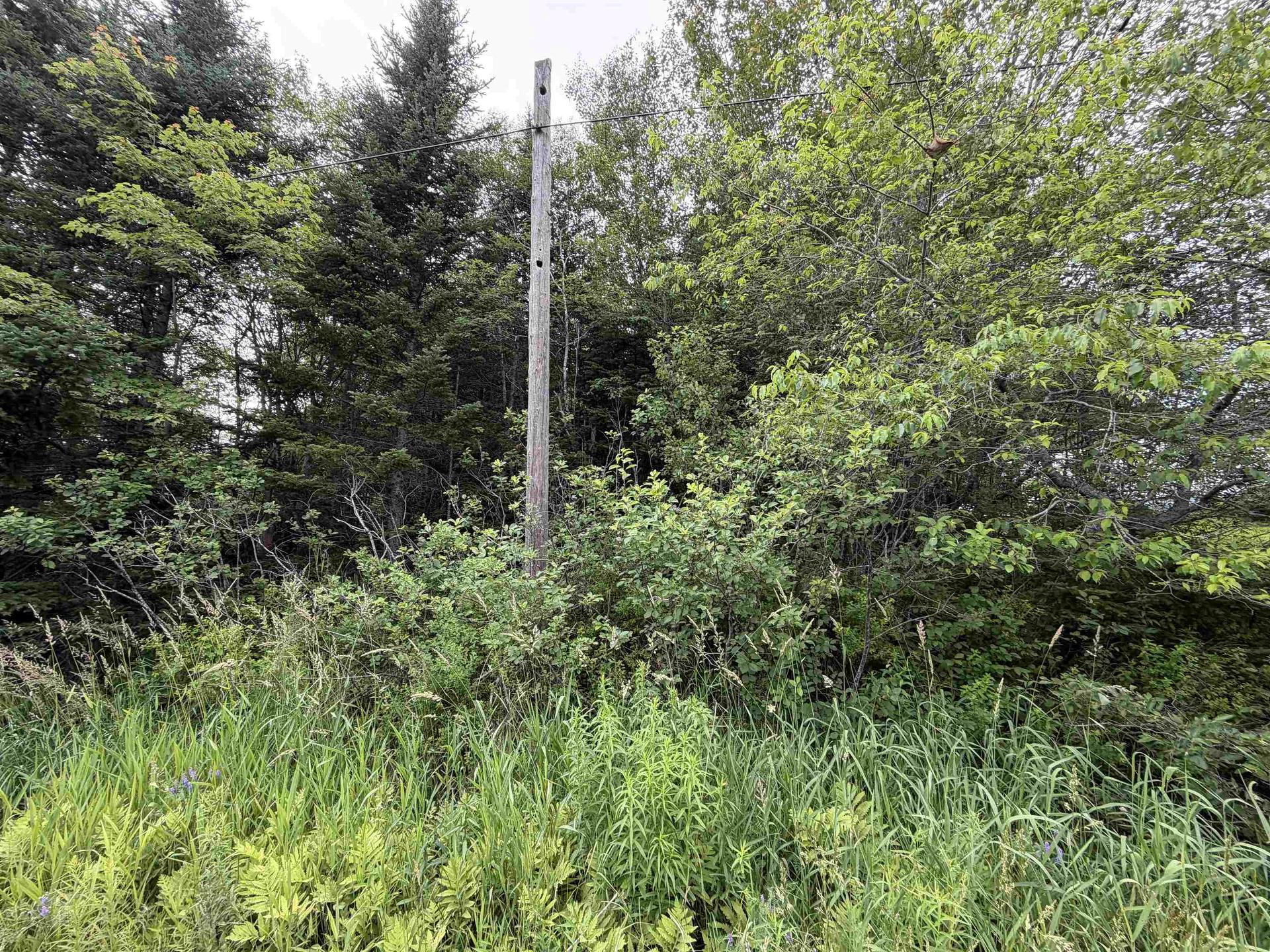 Lot 14 Highway 2, Alton, NS