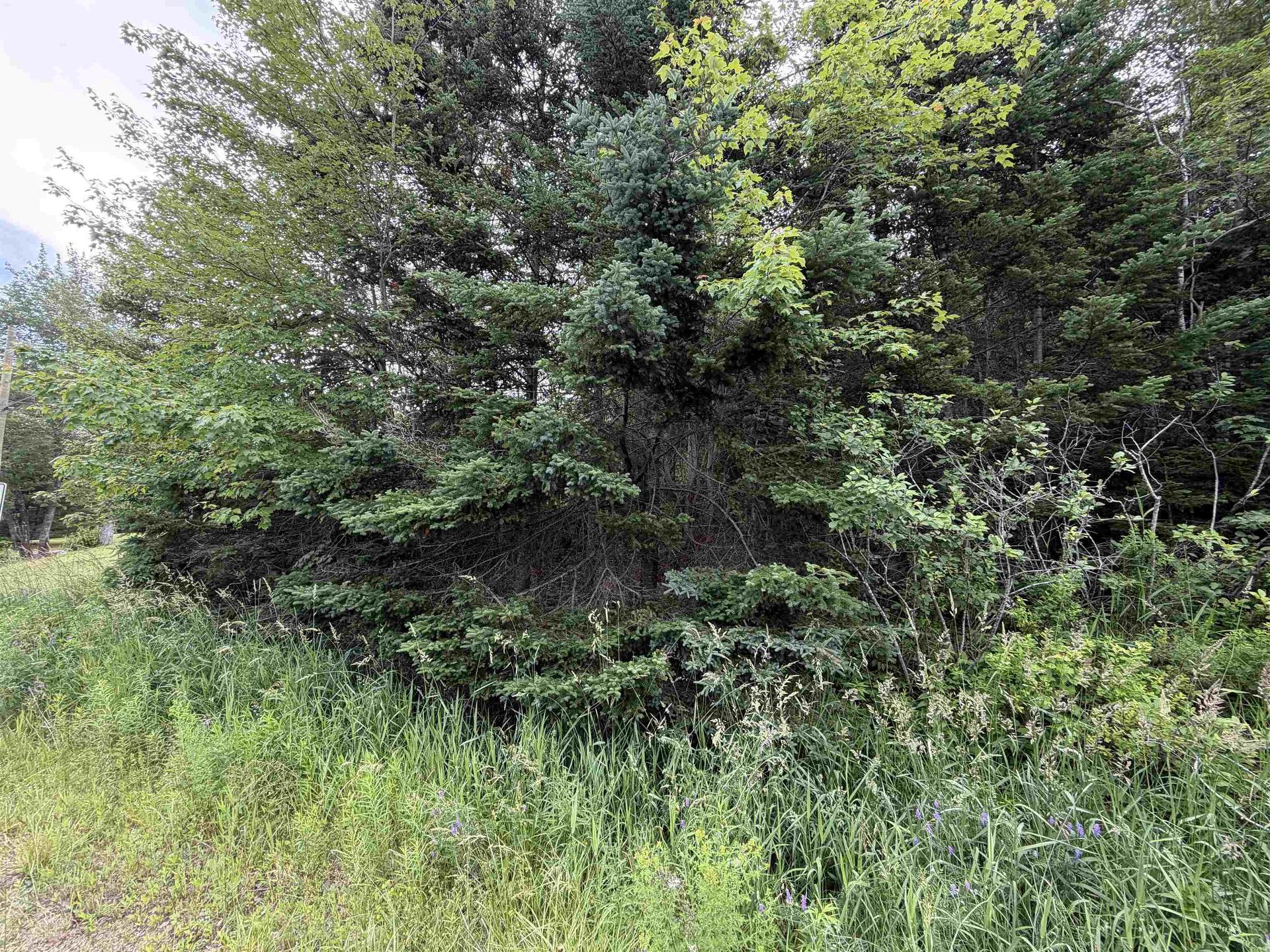 Lot 14 Highway 2, Alton, NS