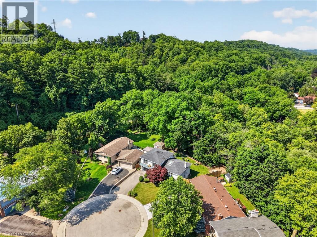 Aerial depiction of a residential area with extensive tree coverage - 9 Leslie Drive, Hamilton, ON - Outdoor