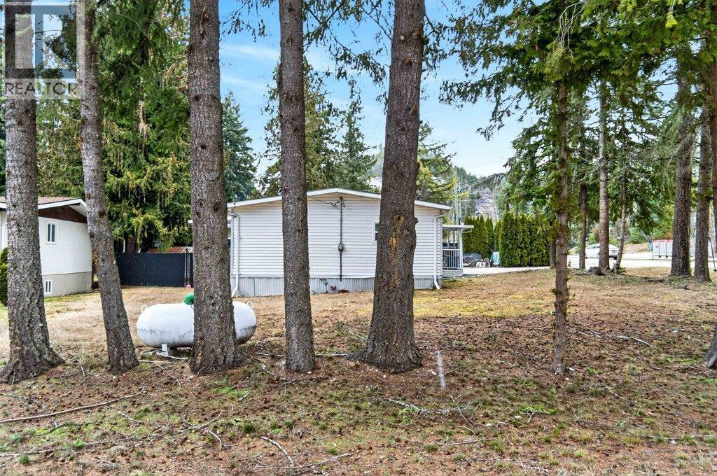 1 Wolfe Street, Sicamous, BC - Outdoor