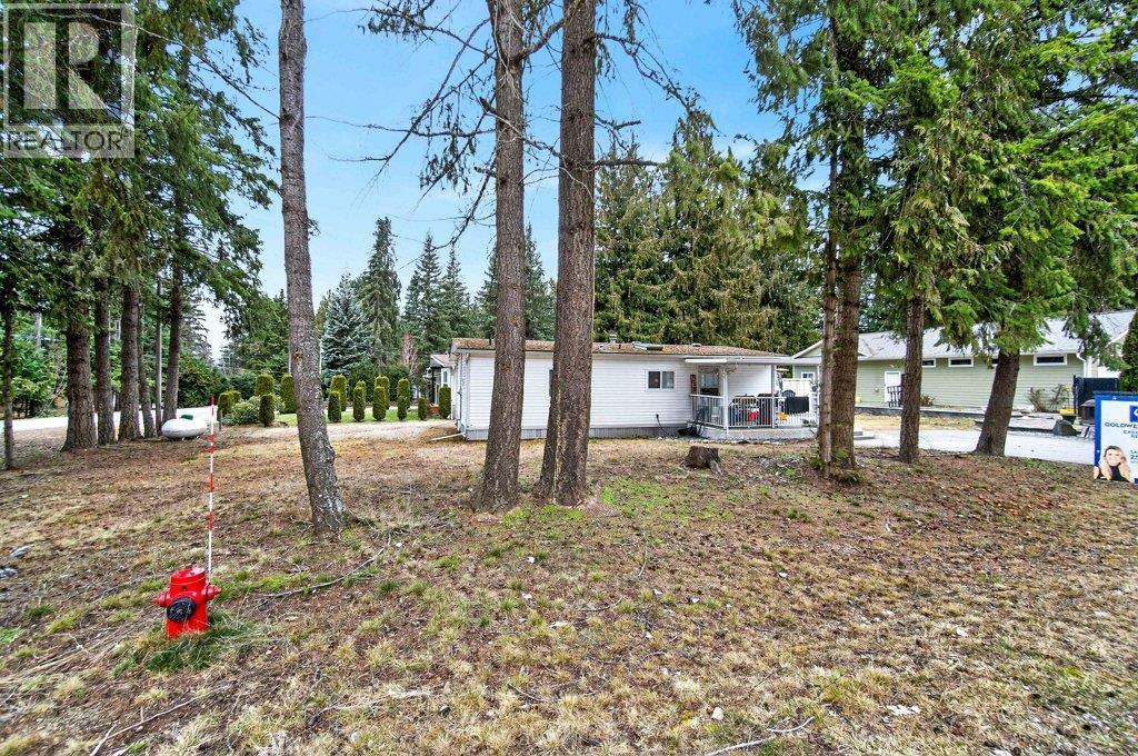 1 Wolfe Street, Sicamous, BC - Outdoor