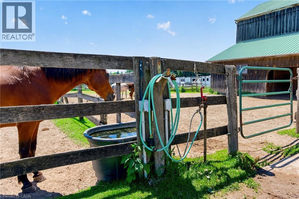 PADDOCKS WITH WATER & HYDRO - 564 8Th Concession Road E, Carlisle, ON