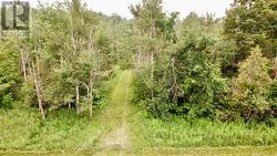 PT LOT 80 GREY ROAD Grey Highlands, ON N0C 1M0