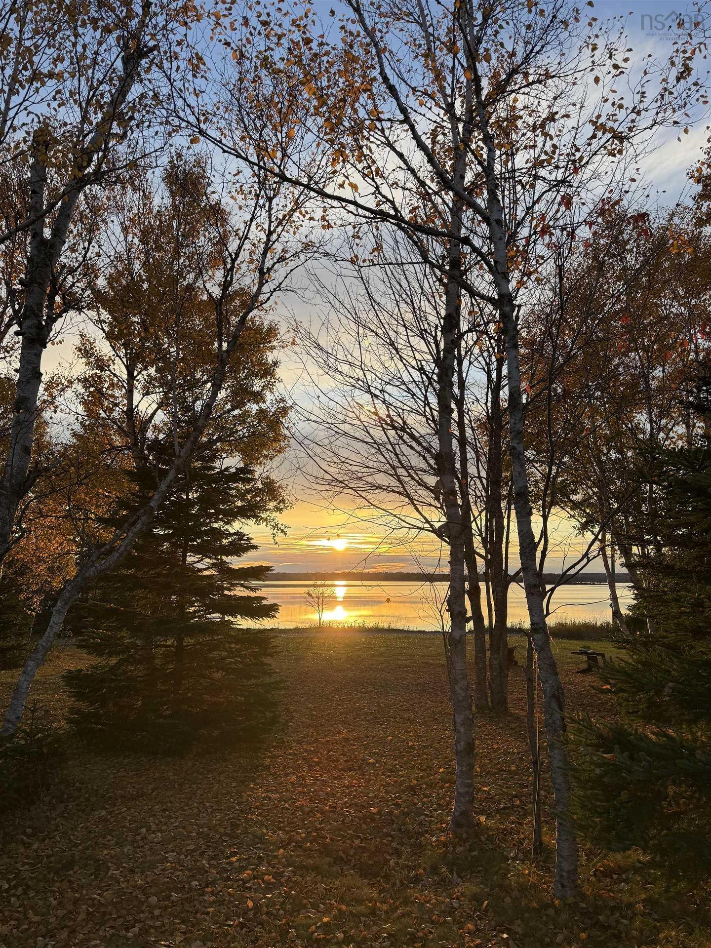 103 Paradise Road, Albert Bridge, NS - Outdoor With View