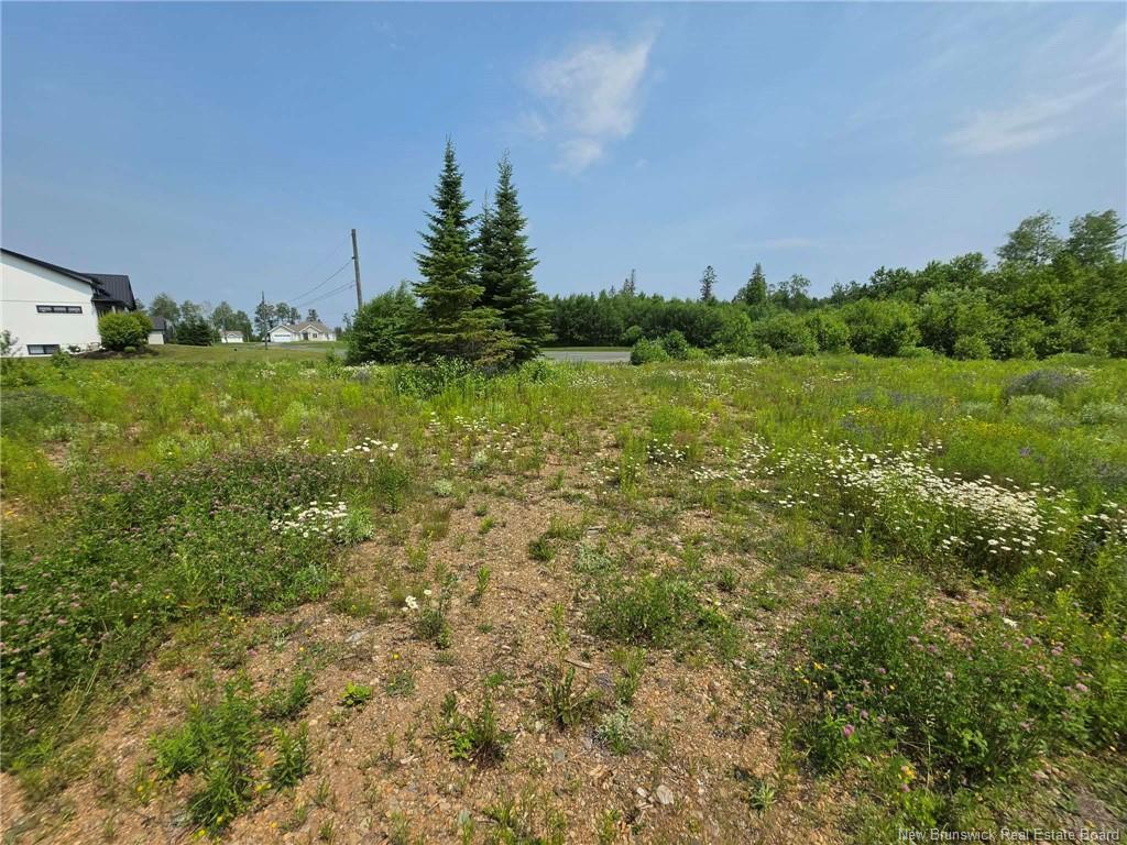 1.26 Acres Viateur Ave, Bathurst, NB