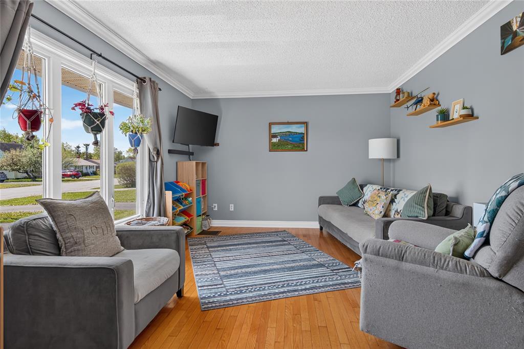 34 Nungesser Avenue, Gander, NL - Indoor Photo Showing Living Room