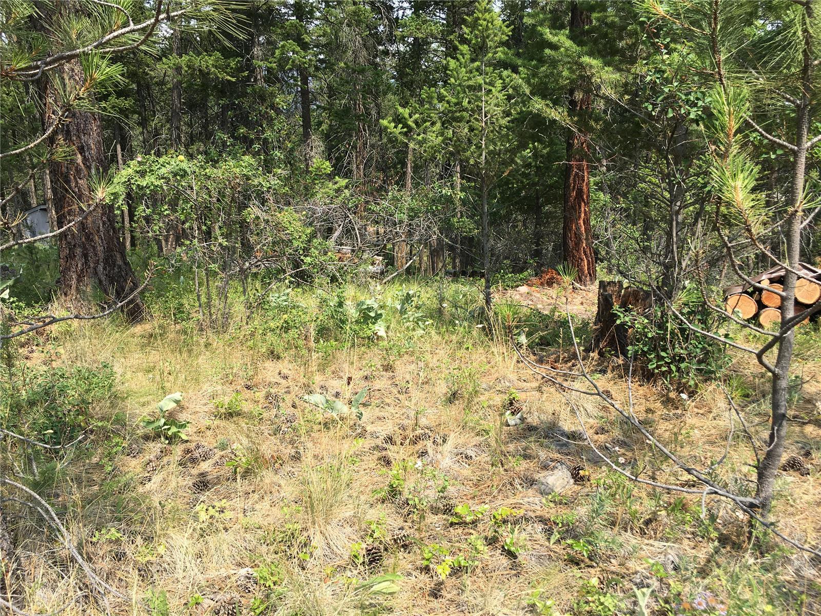680 Fairbridge Road, Fintry, BC