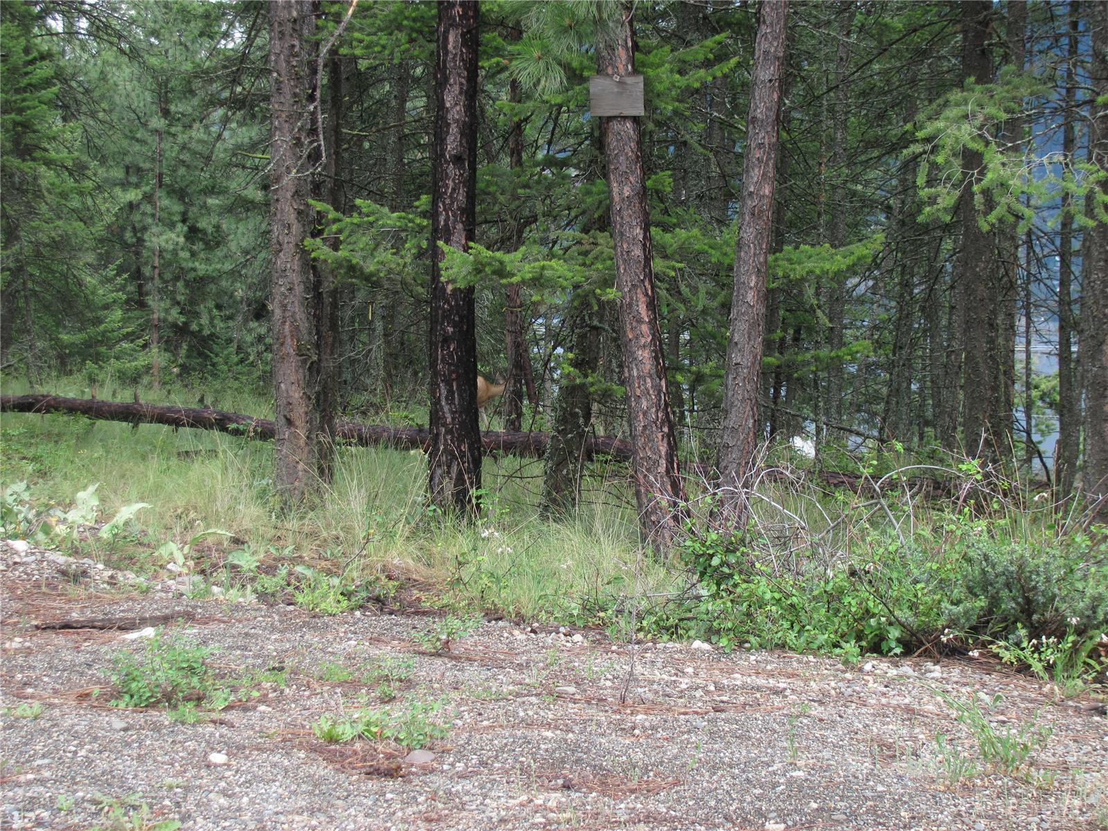 680 Fairbridge Road, Fintry, BC