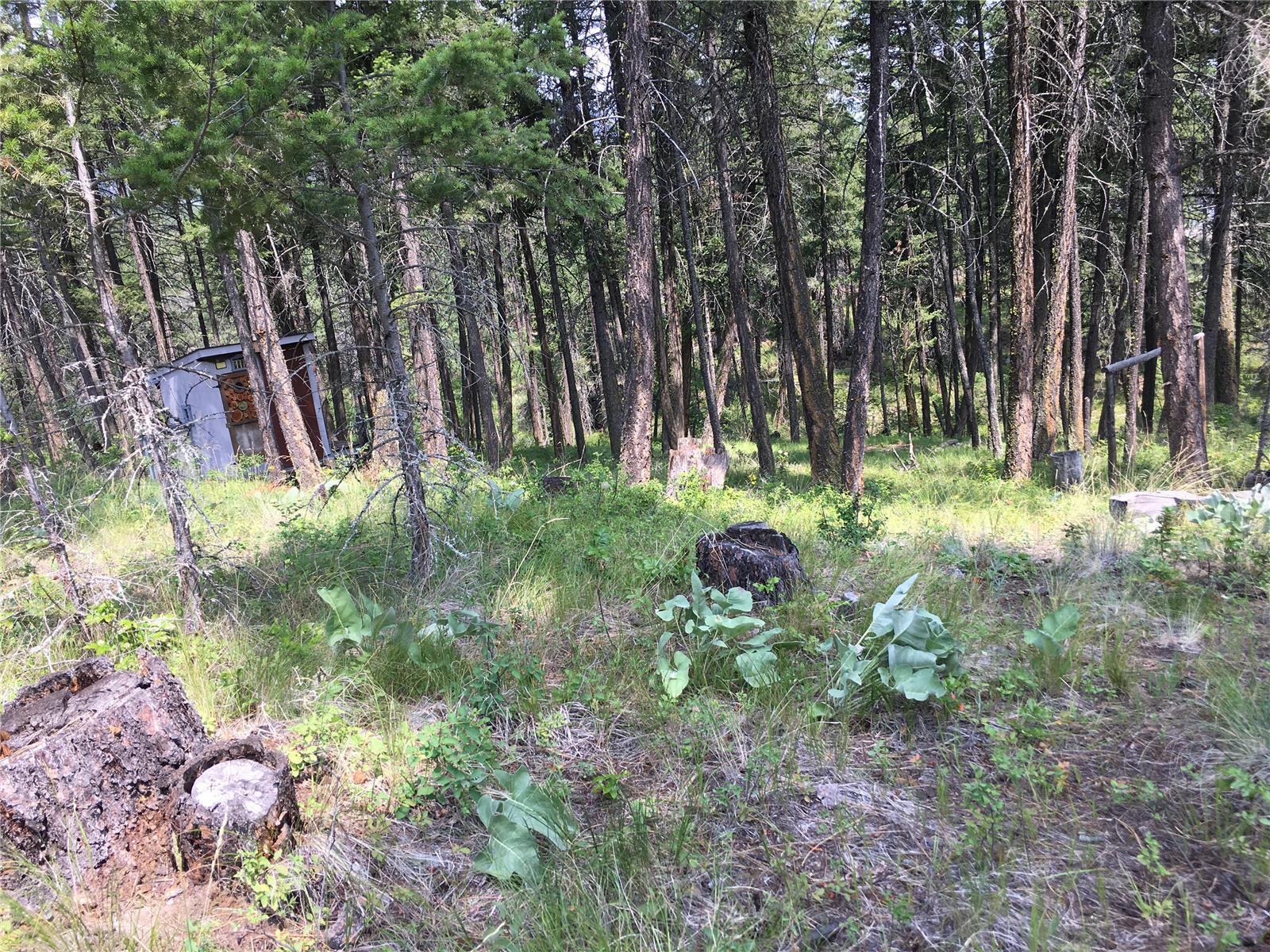 680 Fairbridge Road, Fintry, BC