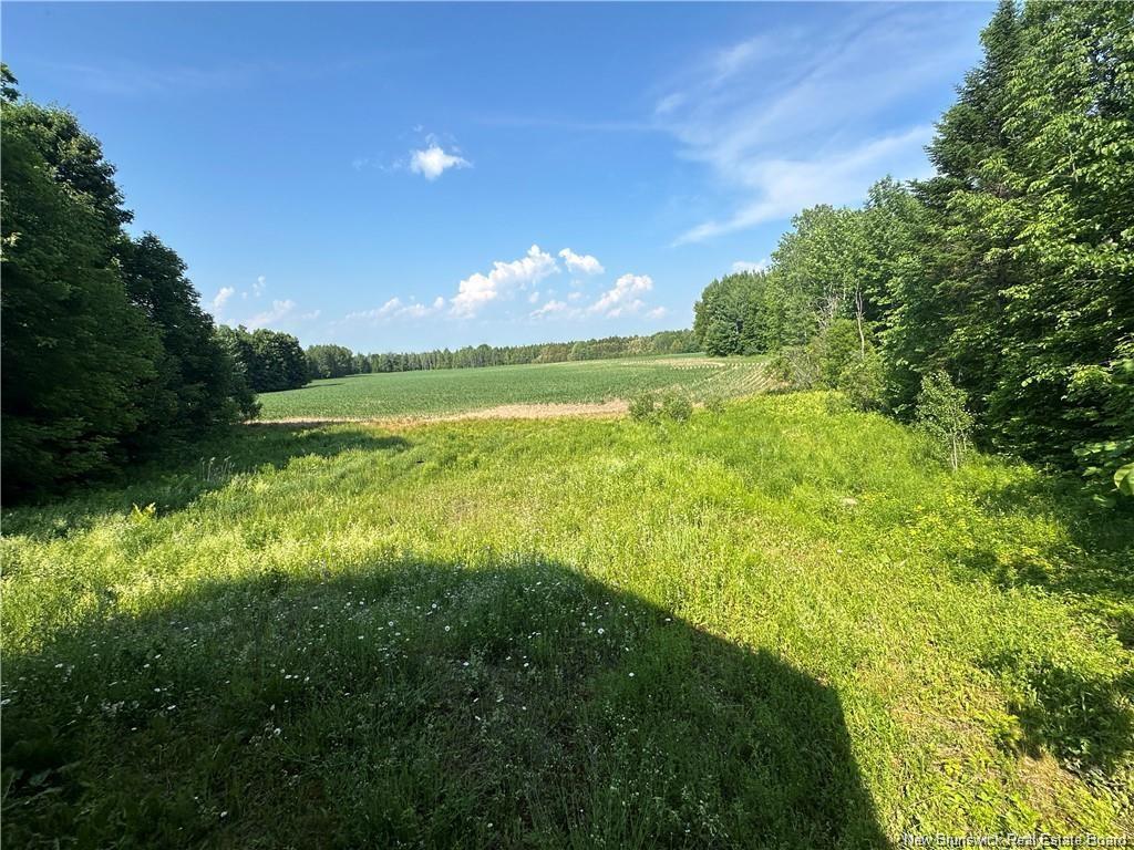 438 Sharkey Rd, Jacksontown, NB
