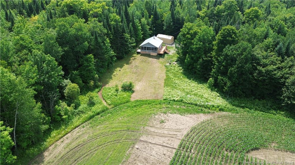 438 Sharkey Rd, Jacksontown, NB