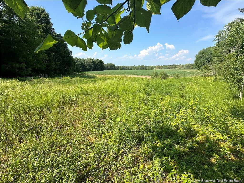 438 Sharkey Rd, Jacksontown, NB