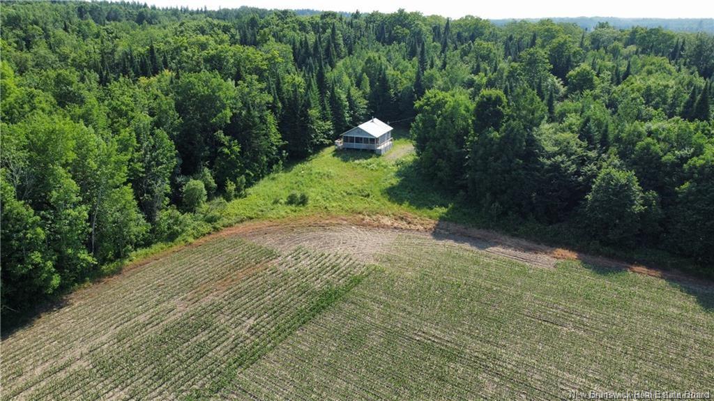 438 Sharkey Rd, Jacksontown, NB