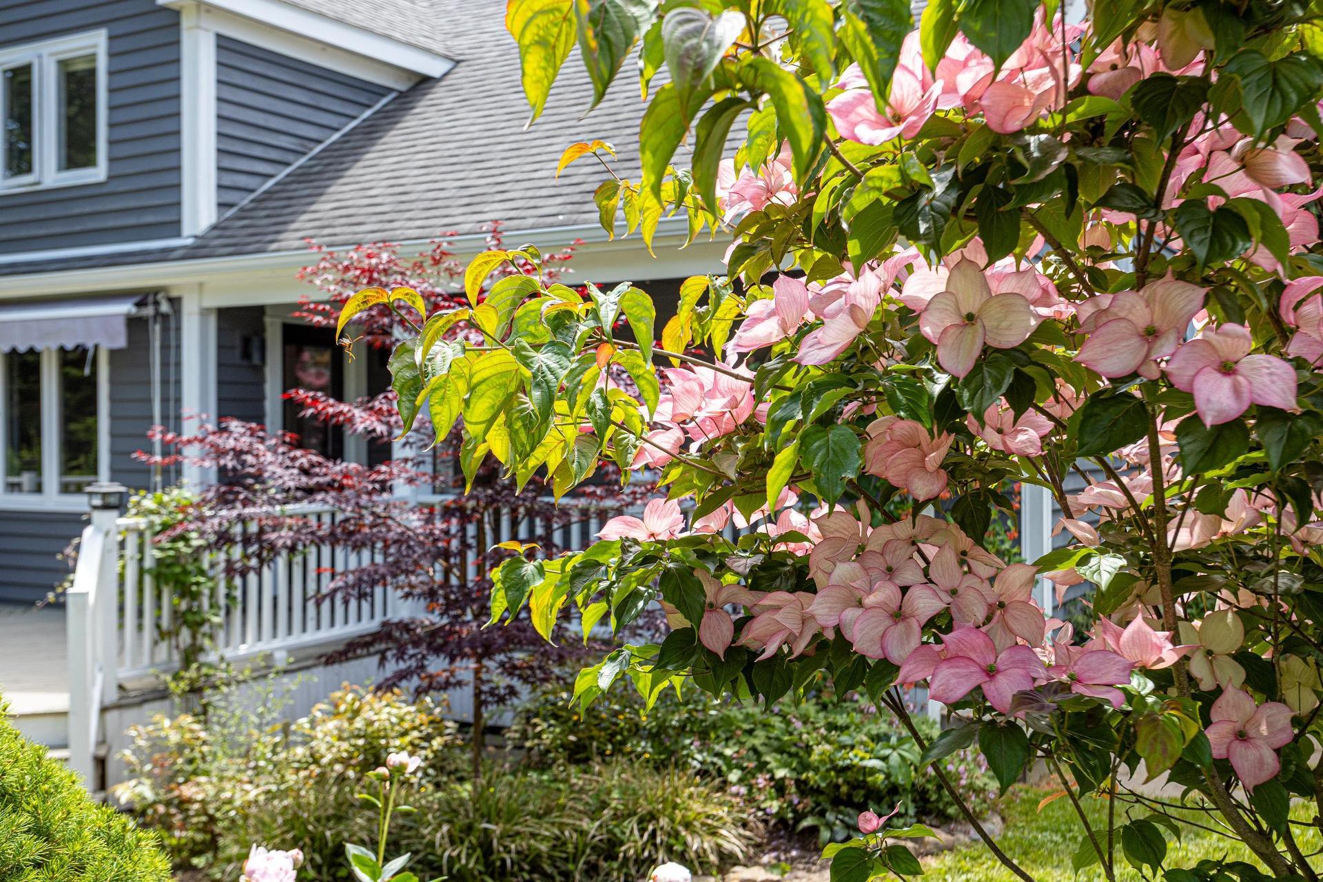 2 Fenwood Road, Halifax, NS