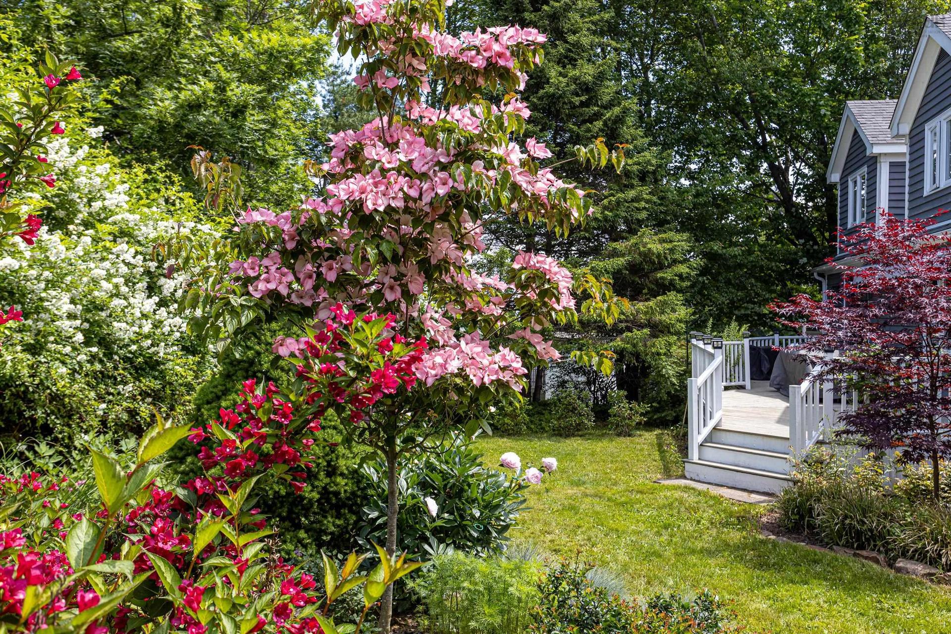 2 Fenwood Road, Halifax, NS