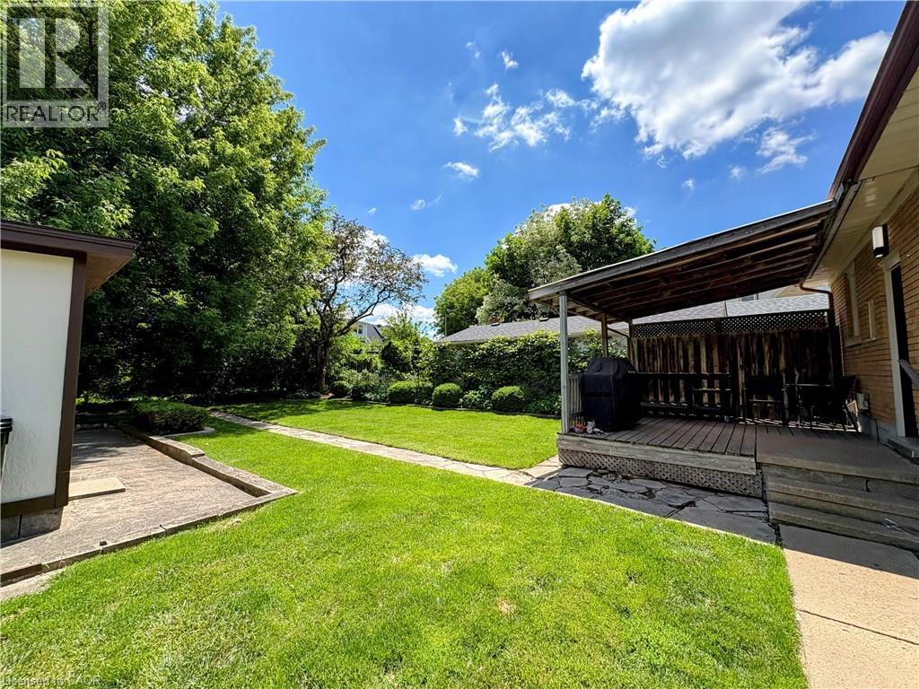Expansive green lawn with mature trees and established perimeter hedging - 699 Frederick Street, Kitchener, ON