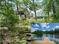 222 MISSISSAGUA DAM ROAD Trent Lakes, ON K0L 1J0