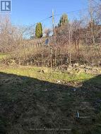 Backyard - 