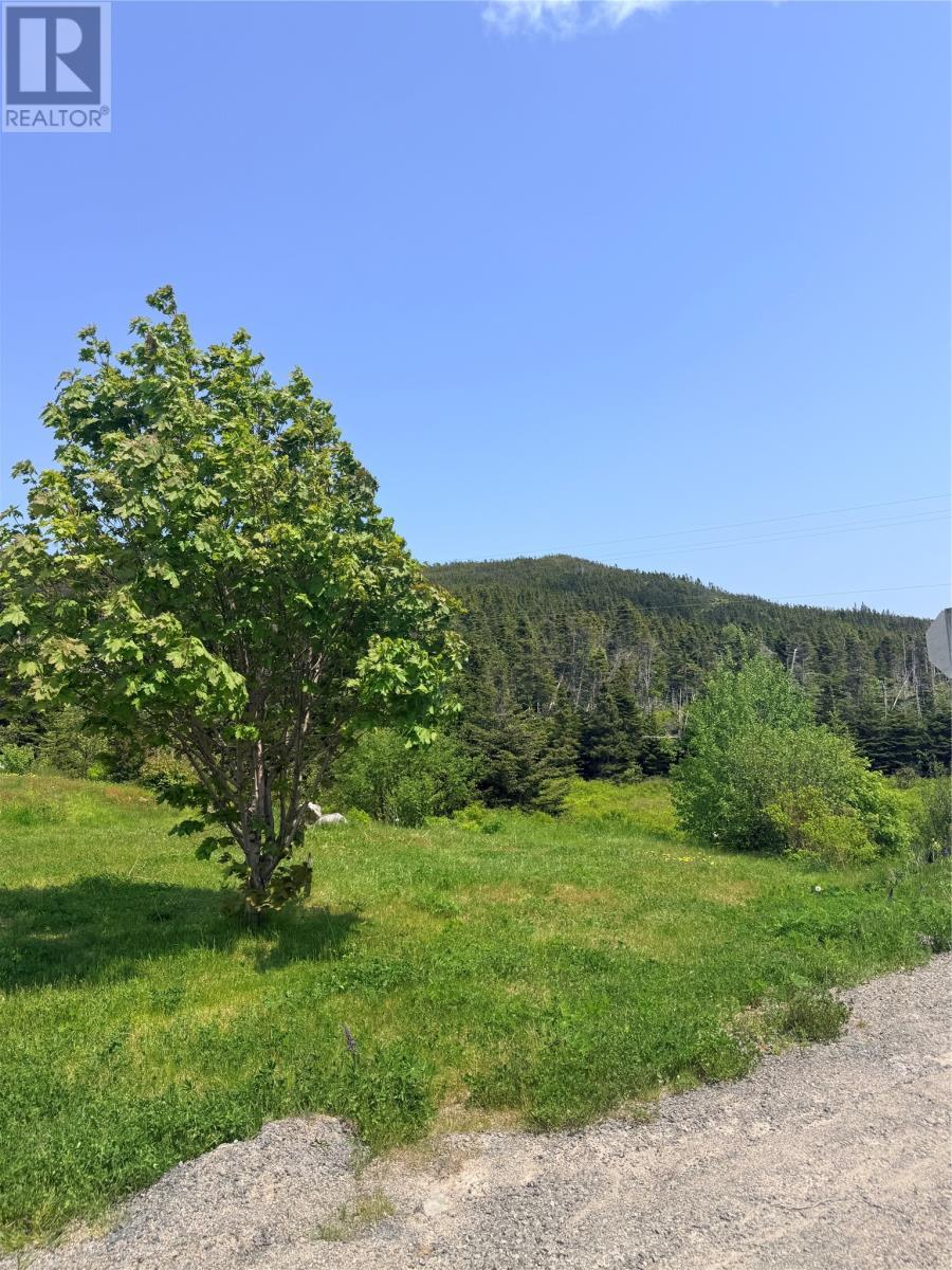 Back yard - 3 Main Road, Trouty, NL