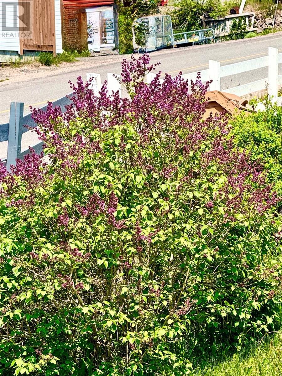 Shrubs - 3 Main Road, Trouty, NL