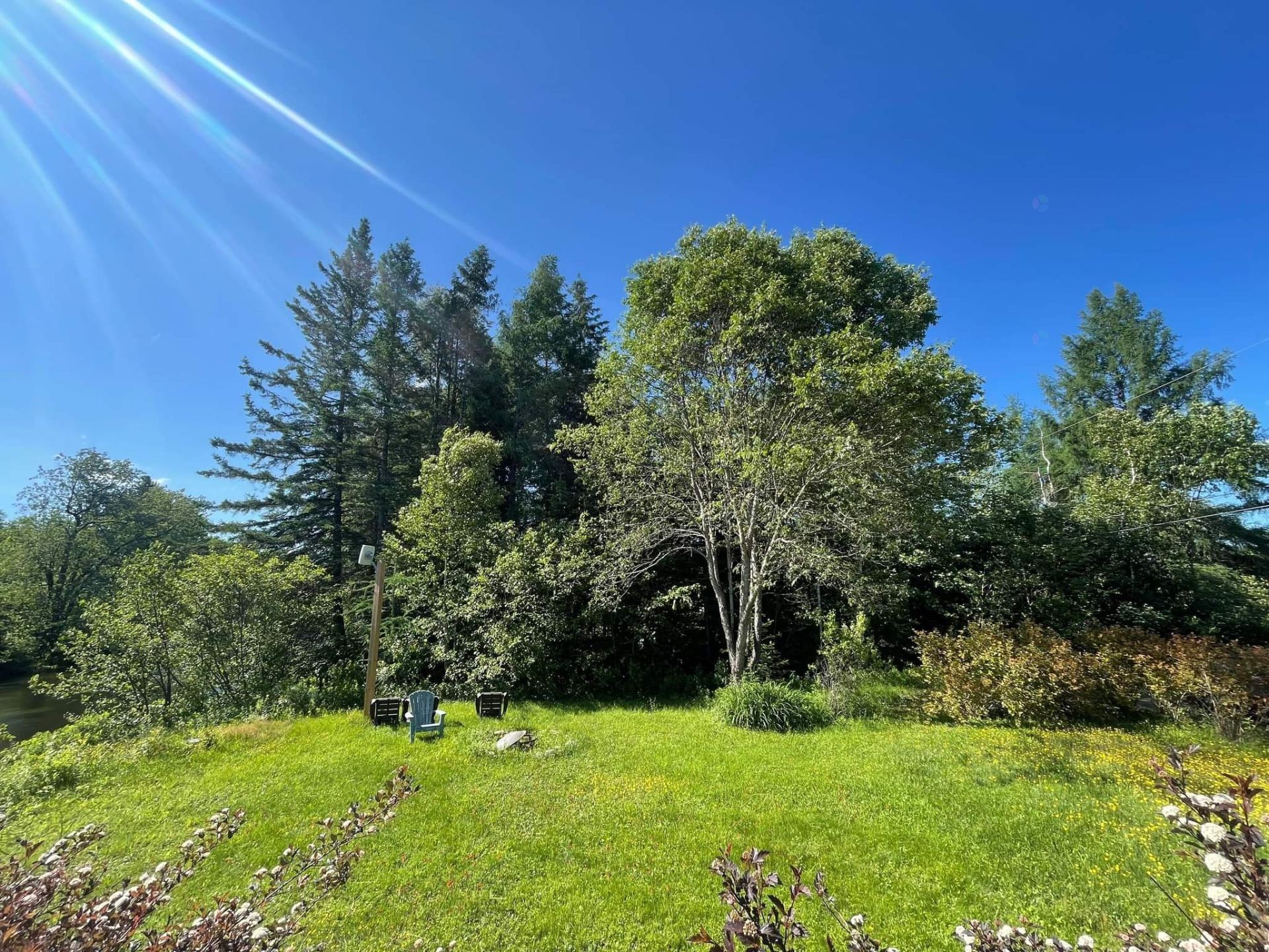 Exterior - 135 Ch. Bisson N., Amherst, QC - Outdoor