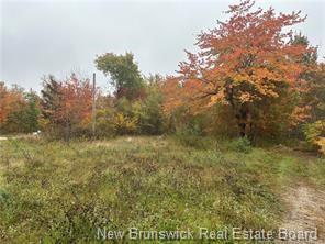 72 Old Harvey Rd, Mcadam, NB