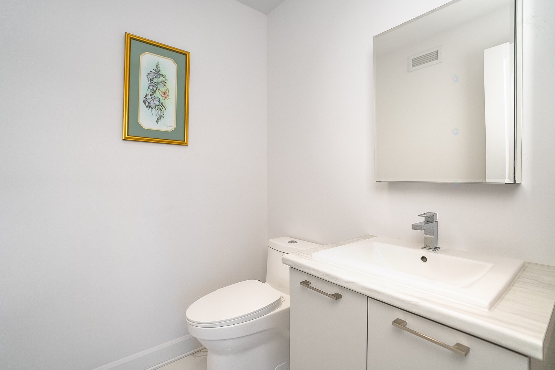 Salle d'eau - 24Z Av. Des Chênes, Candiac, QC - Indoor Photo Showing Bathroom