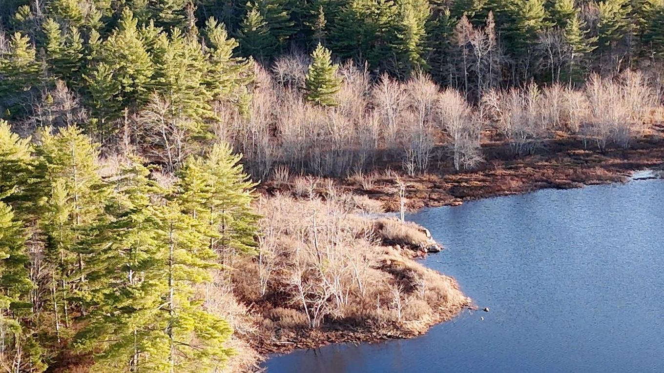 Bridge Road, New Elm, NS