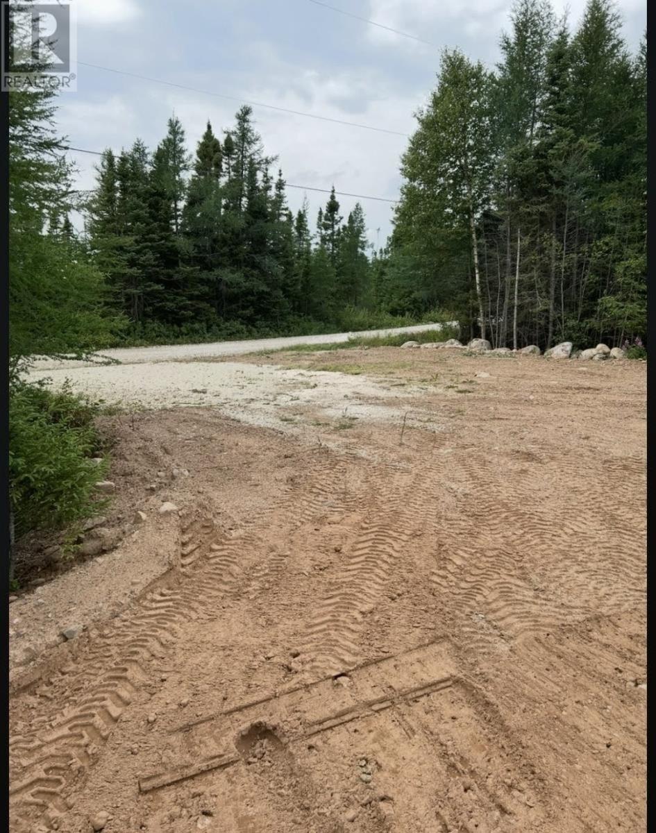 8A Sandy Stream Road, Howley, NL