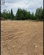 8A Sandy Stream Road Howley, NL A0K 3E0