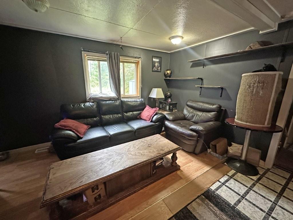 150 First Street, Nipigon, ON - Indoor Photo Showing Living Room