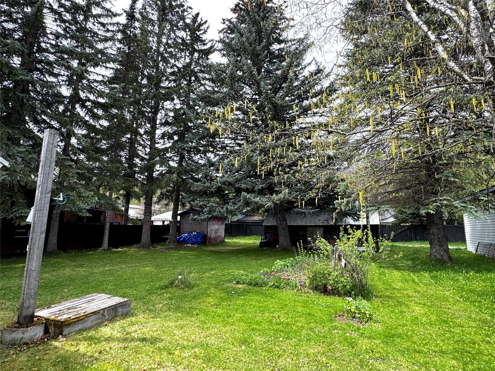 621 9Th Avenue, Fernie, BC - Outdoor