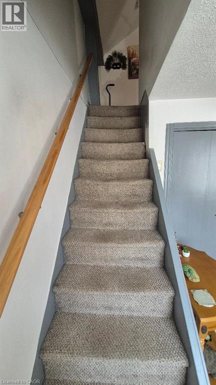 Carpeted staircase with a wood-finish handrail and painted risers - 257 Cedar Street, Simcoe, ON - Indoor Photo Showing Other Room