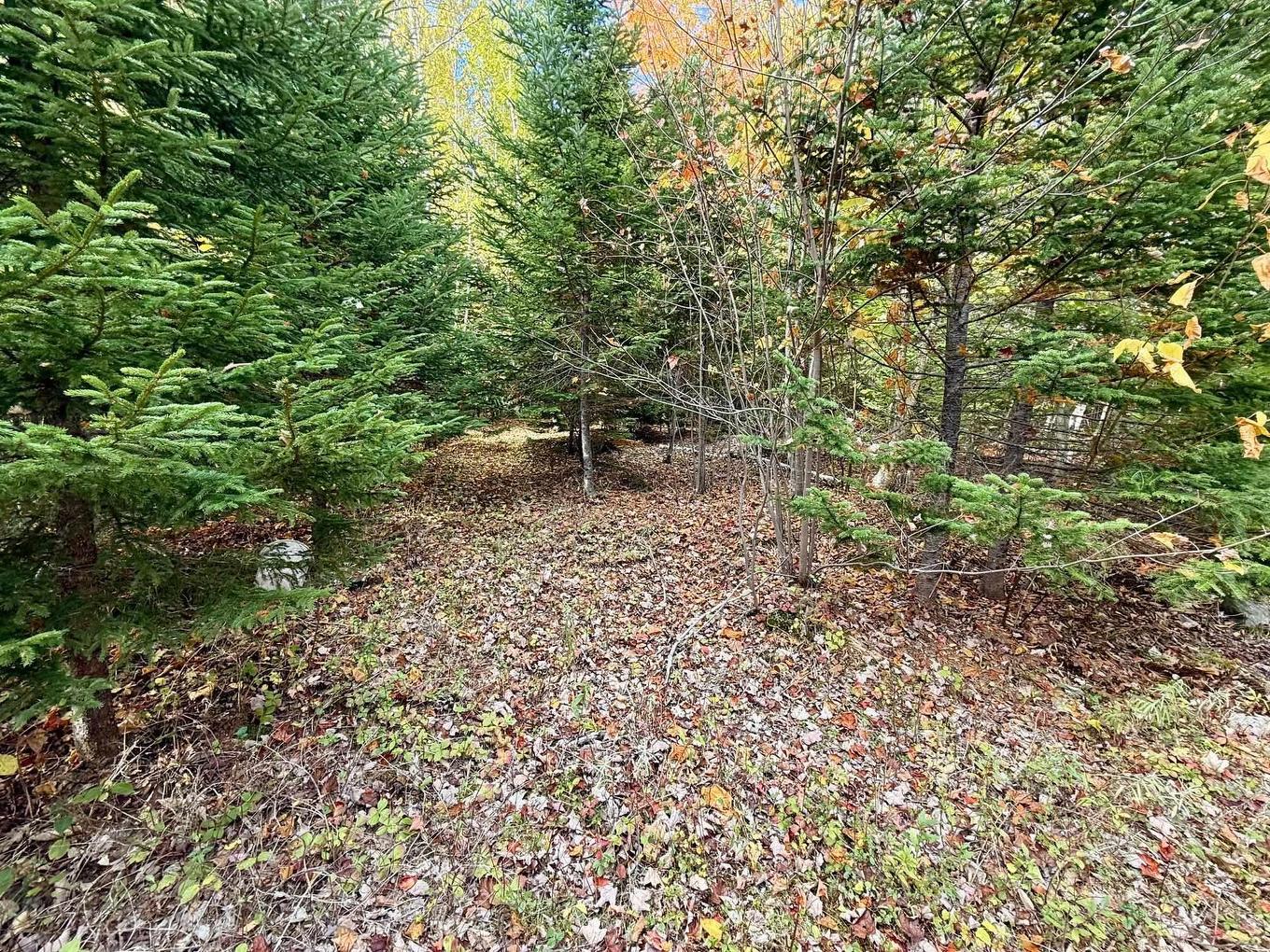 268 Eagle Rock Drive, Franey Corner, NS