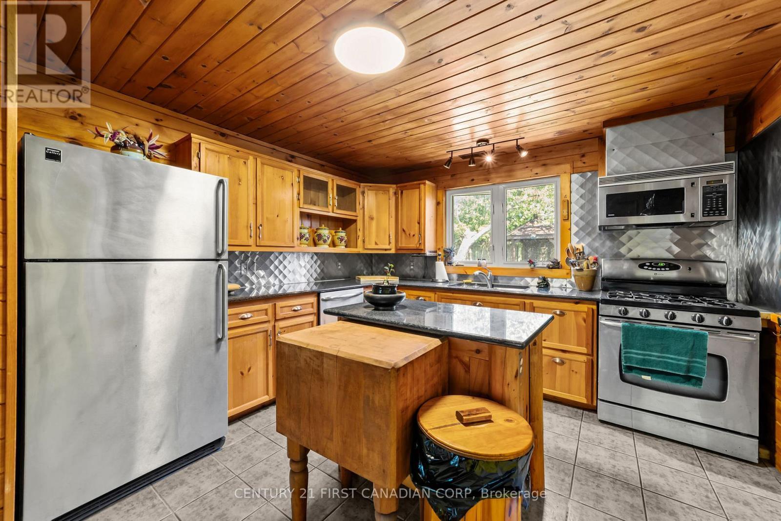 35 Park Avenue, St. Thomas, ON - Indoor Photo Showing Kitchen With Double Sink