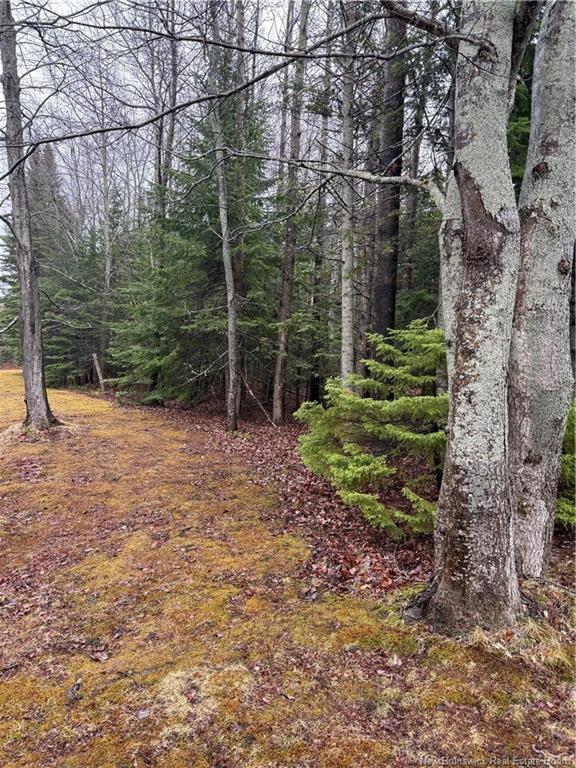 Lot 98-2 Dundas Rd, Grande-Digue, NB