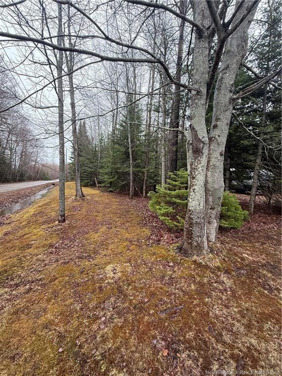 Lot 98-2 Dundas Rd, Grande-Digue, NB