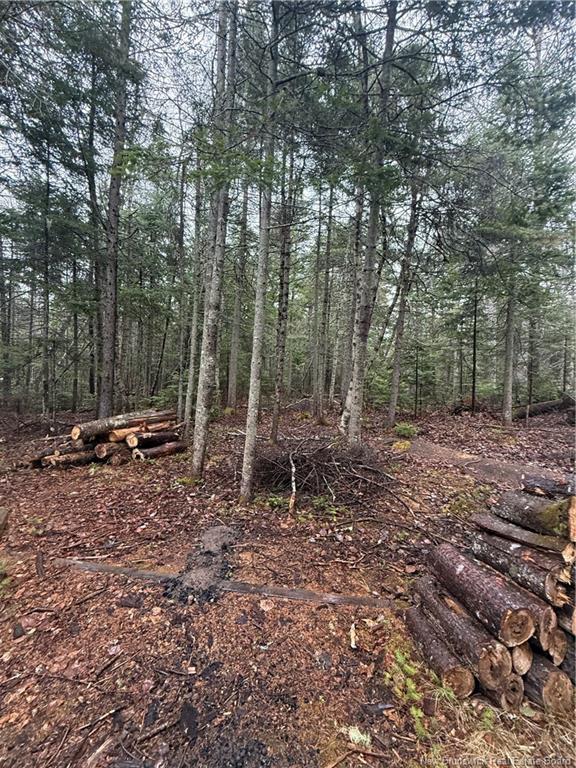 Lot 98-2 Dundas Rd, Grande-Digue, NB