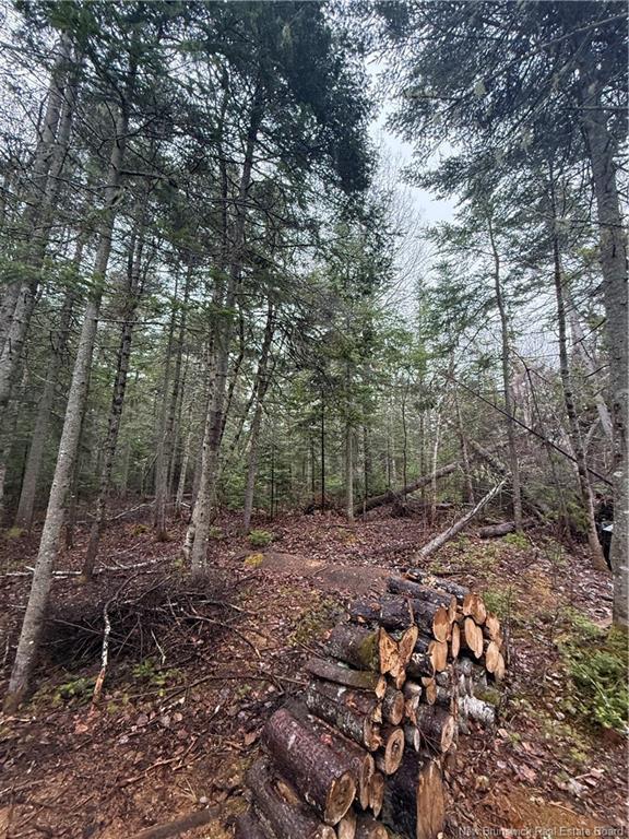 Lot 98-2 Dundas Rd, Grande-Digue, NB