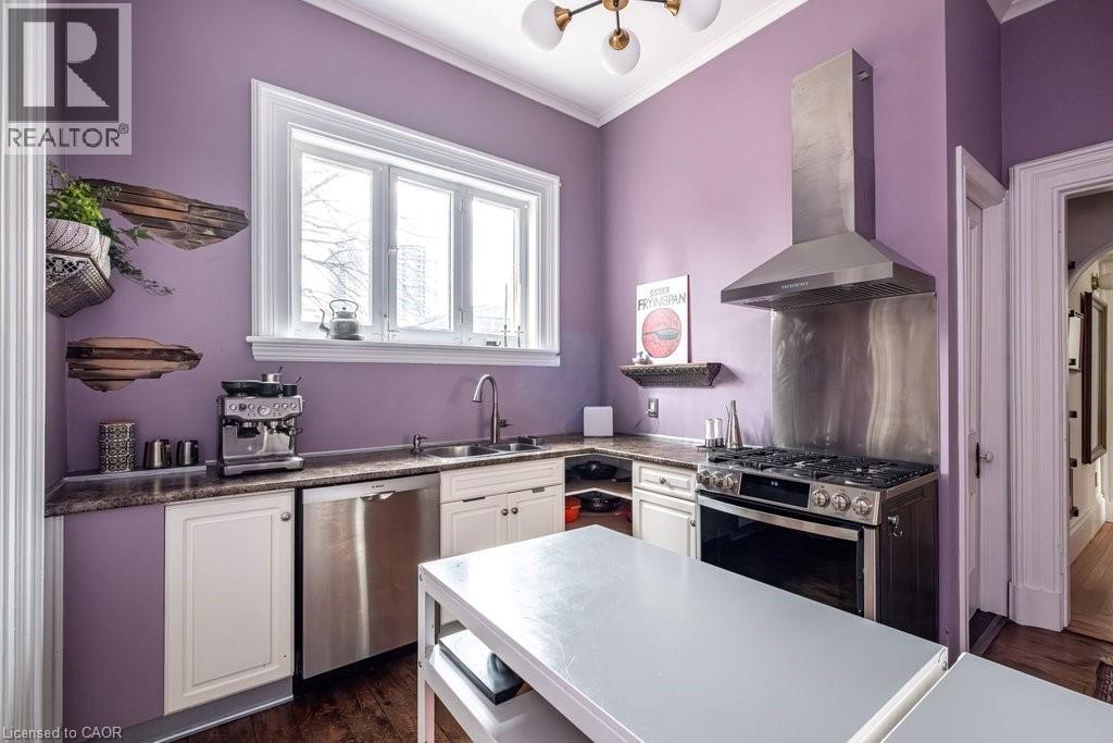 58 Wellington Street S, Hamilton, ON - Indoor Photo Showing Kitchen With Double Sink