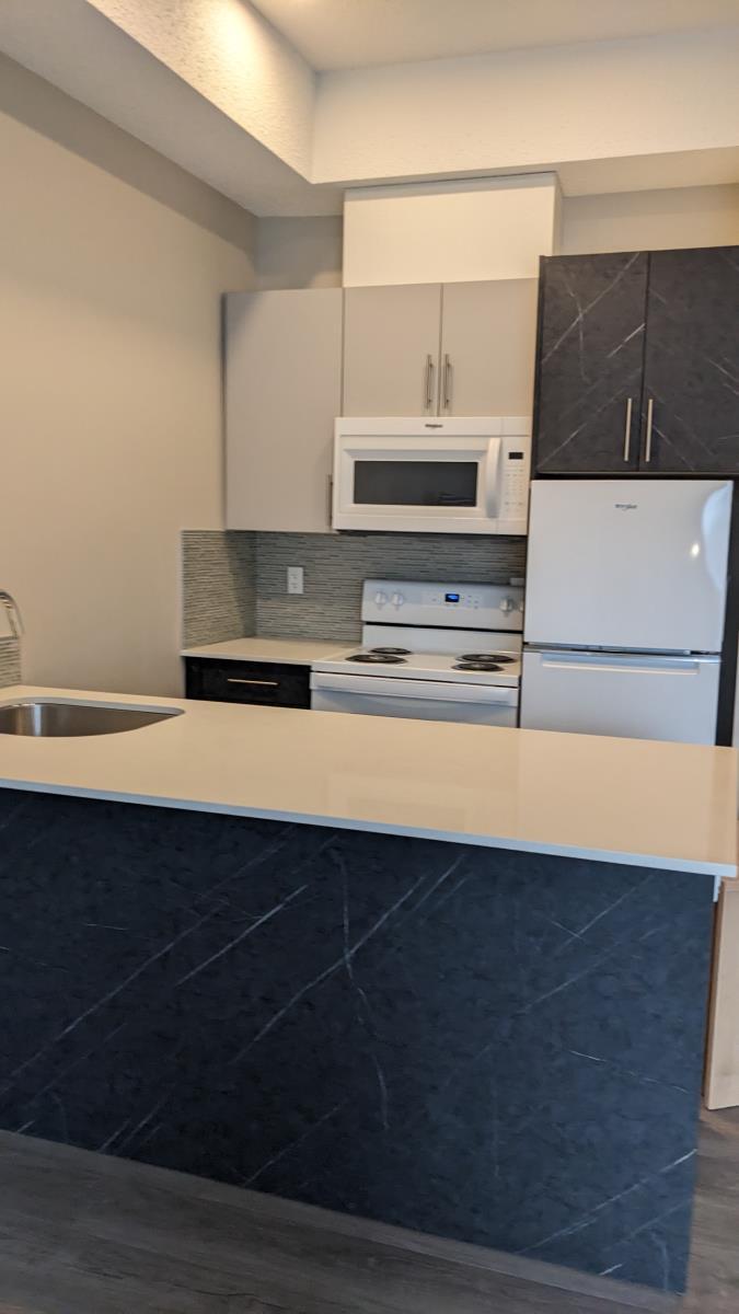 10919 97 Street Nw, Edmonton, AB - Indoor Photo Showing Kitchen